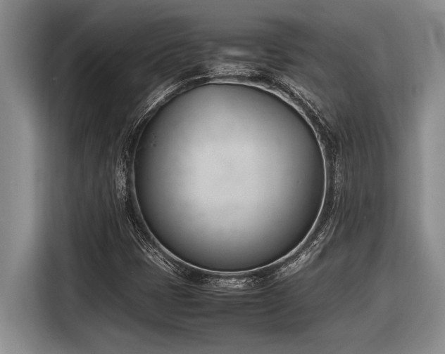 X0000116881401200912221416
