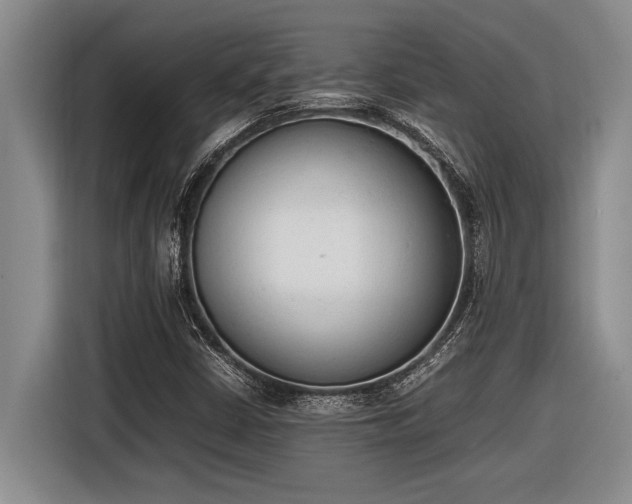 X0000116881402200912221416