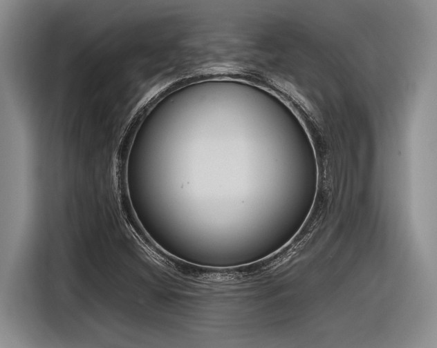 X0000116881404200912221416