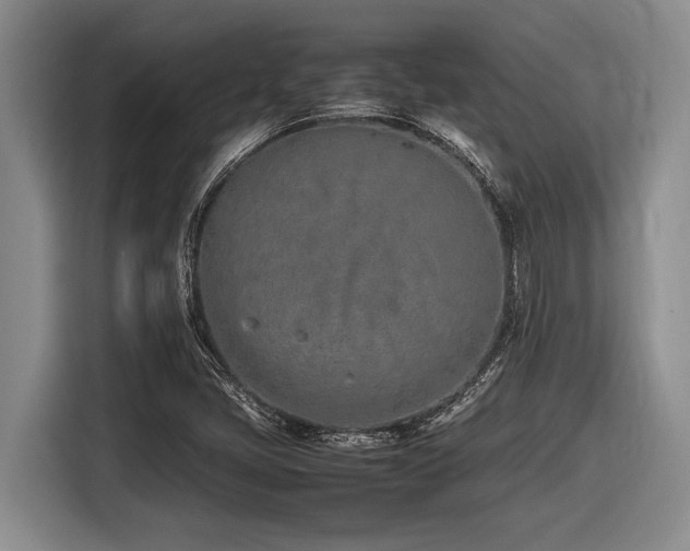 X0000116881405200912221416