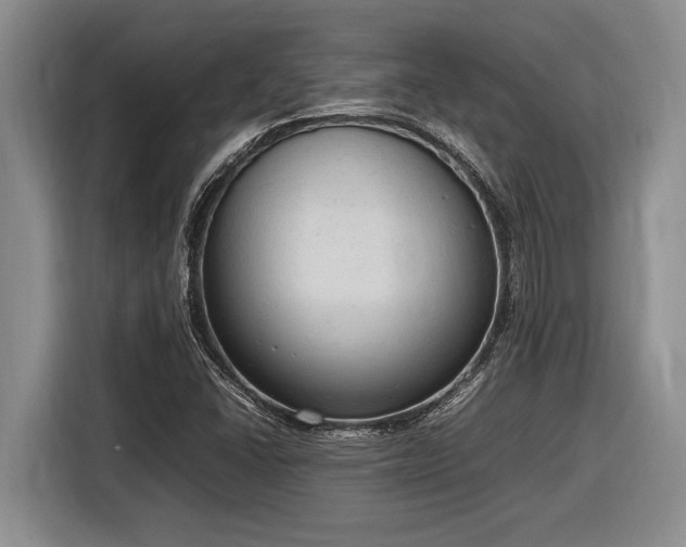 X0000116881406200912221416