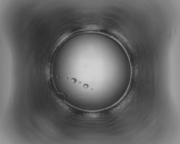 X0000116881409200912221416