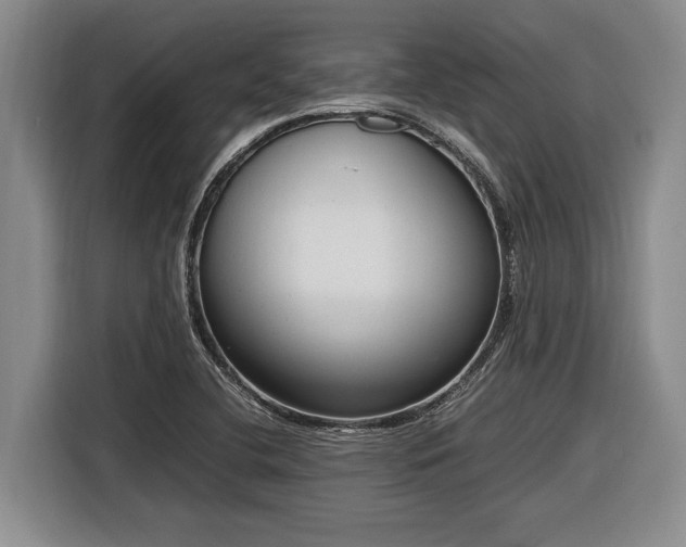 X0000116881412200912221416