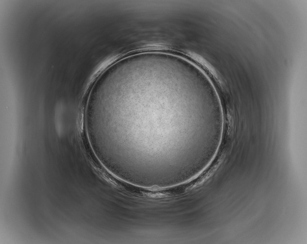 X0000116881413200912221416