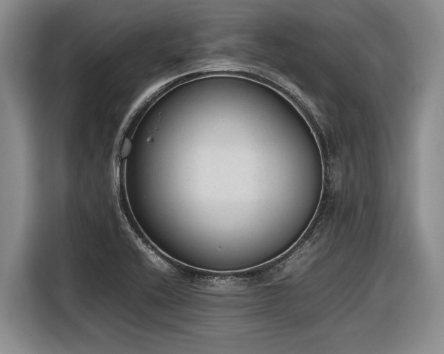 X0000116881416200912221416