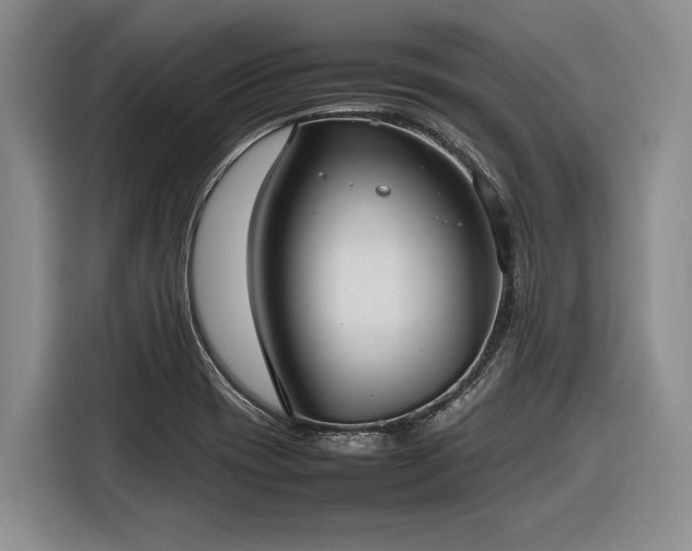 X0000116881417200912221416
