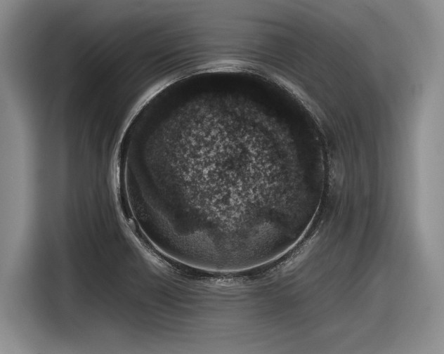 X0000116881418200912221416