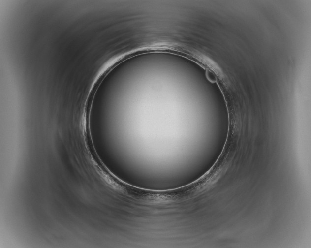 X0000116881420200912221416