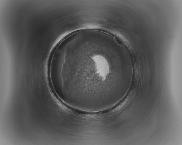 X0000116881422200912221416