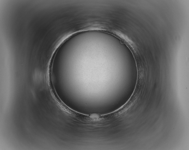 X0000116881423200912221416
