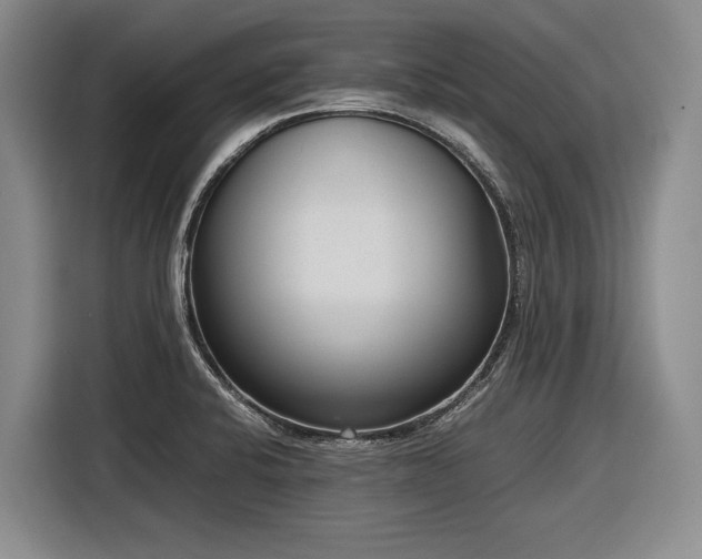 X0000116881424200912221416
