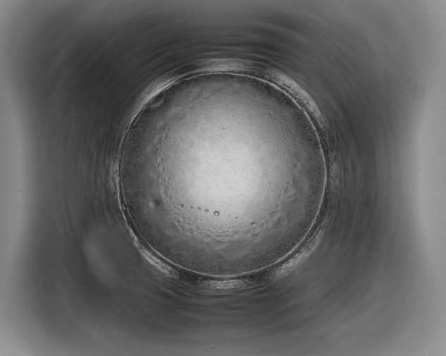 X0000116881425200912221416