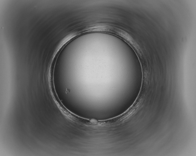 X0000116881426200912221416