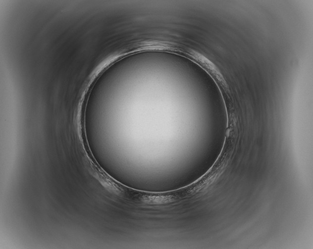 X0000116881427200912221416