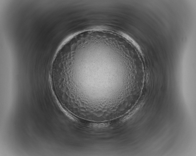 X0000116881429200912221417