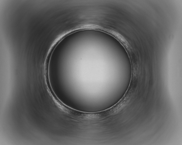 X0000116881430200912221417