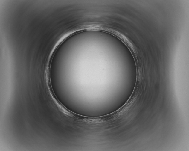 X0000116881432200912221417