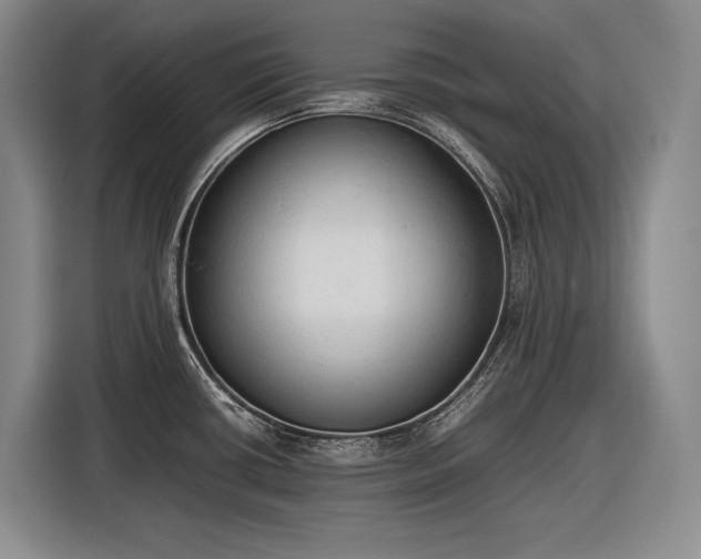 X0000116881434200912221417