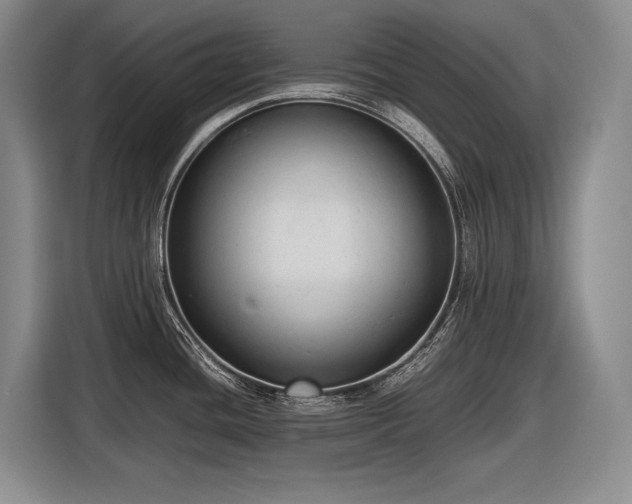 X0000116881436200912221417