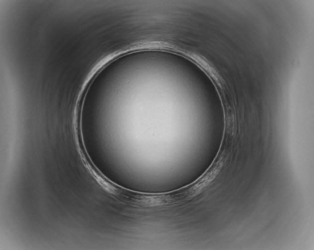 X0000116881438200912221417