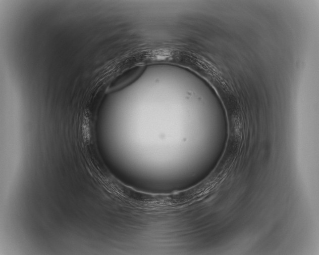 X0000116881442200912221416