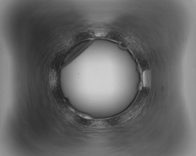 X0000116881443200912221416