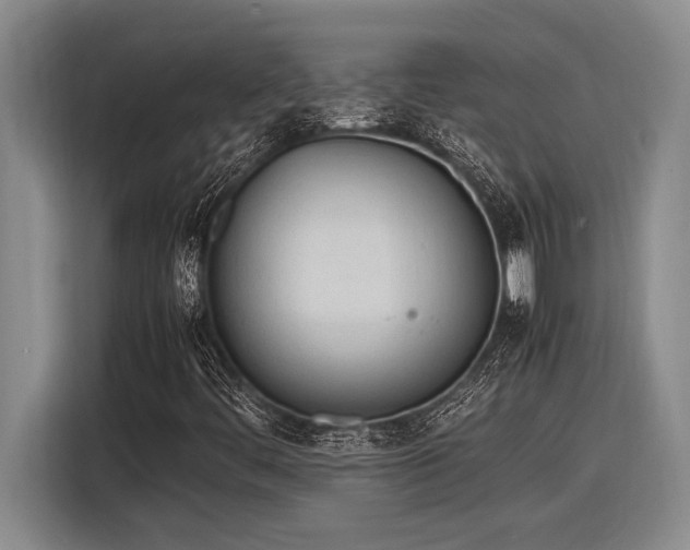 X0000116881444200912221416