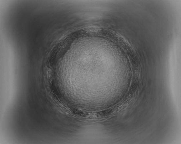 X0000116881445200912221416