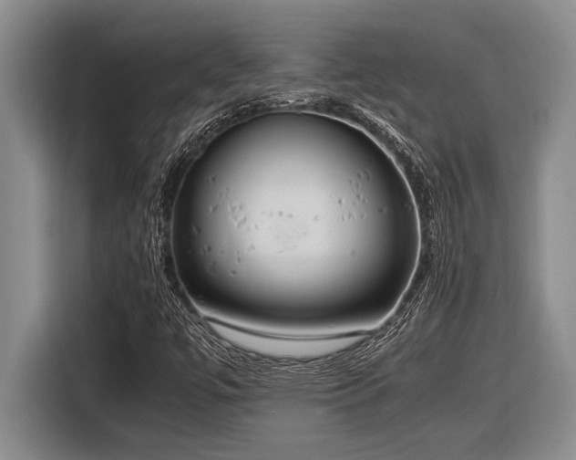 X0000116881447200912221416