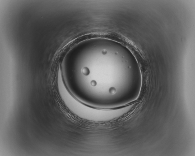 X0000116881448200912221416