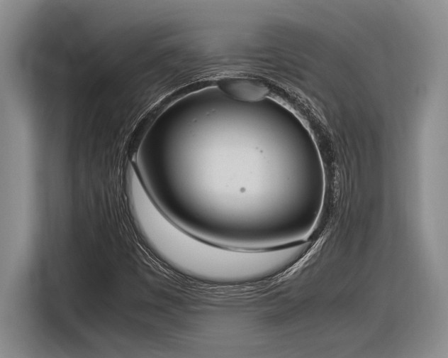 X0000116881449200912221416