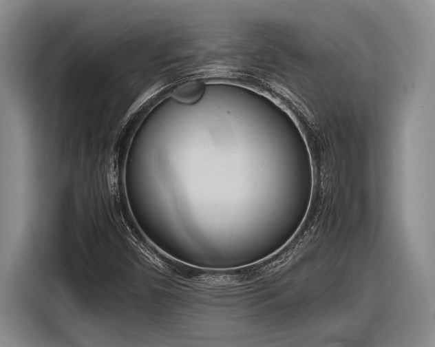 X0000116881450200912221416