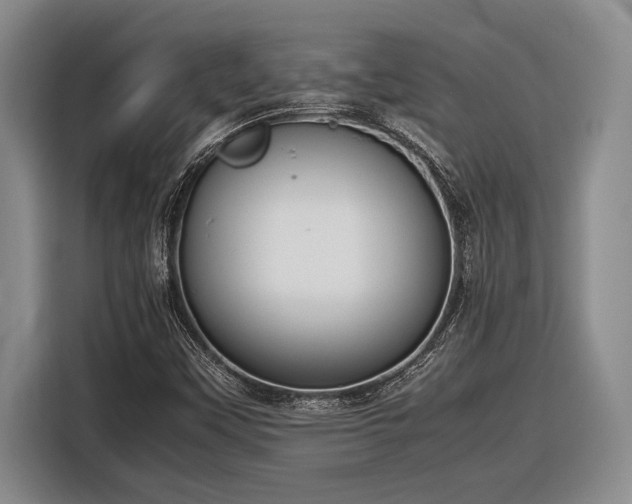 X0000116881451200912221416
