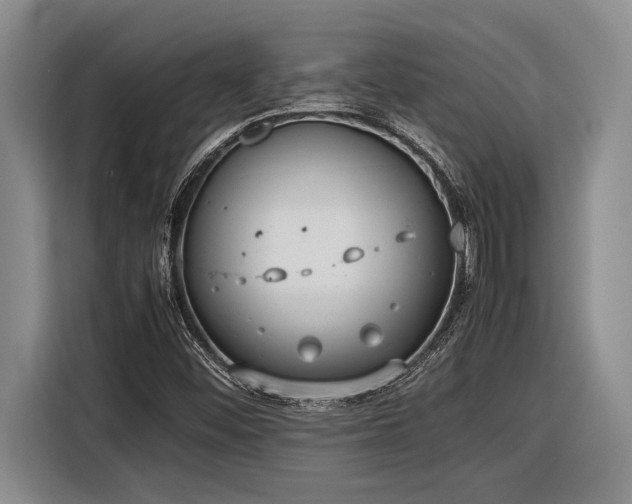 X0000116881452200912221416