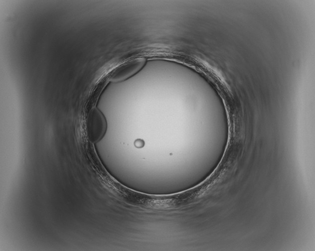 X0000116881453200912221416