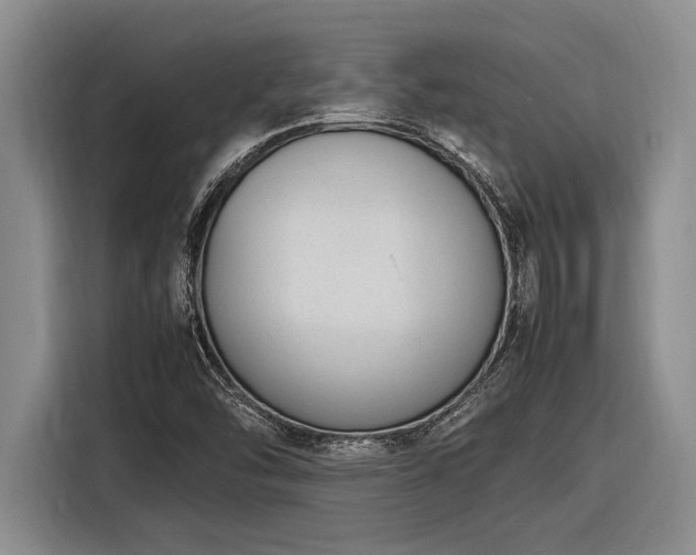 X0000116881454200912221416