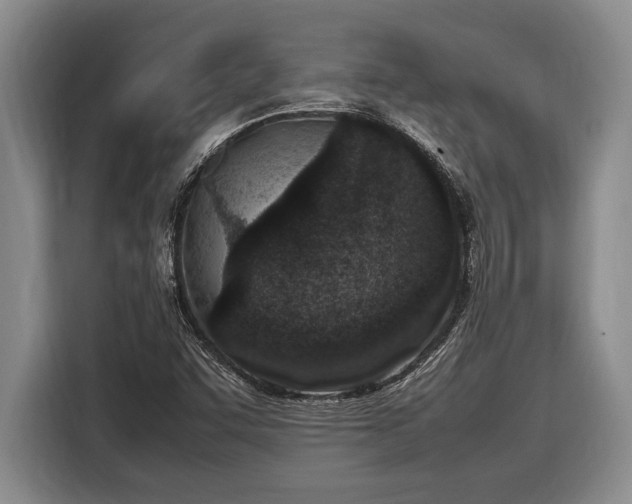 X0000116881455200912221416