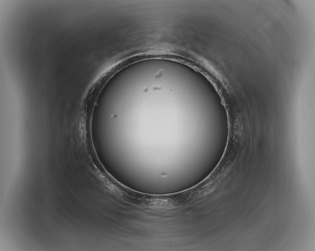 X0000116881456200912221416
