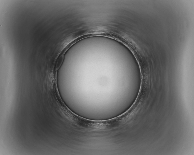 X0000116881457200912221416
