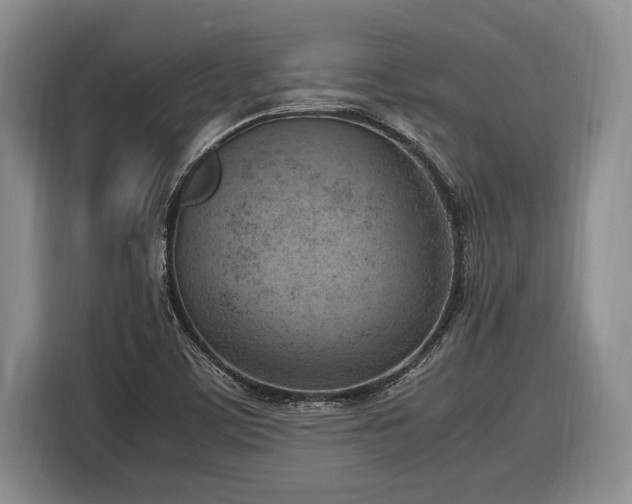 X0000116881459200912221416