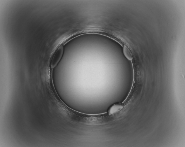 X0000116881461200912221416