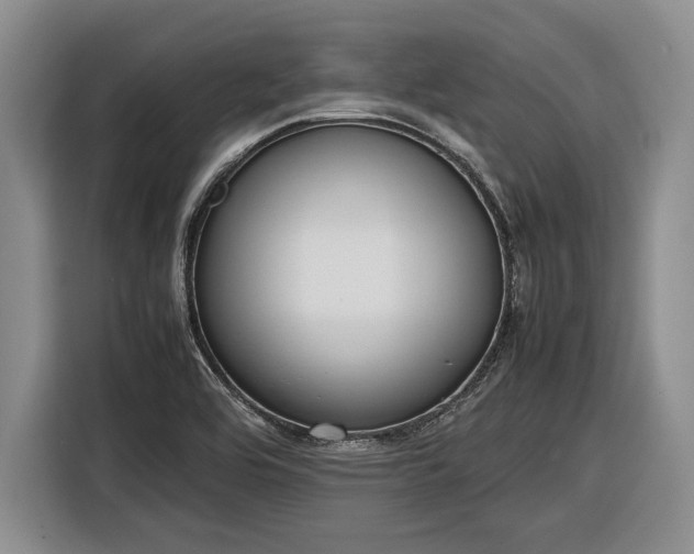 X0000116881464200912221416