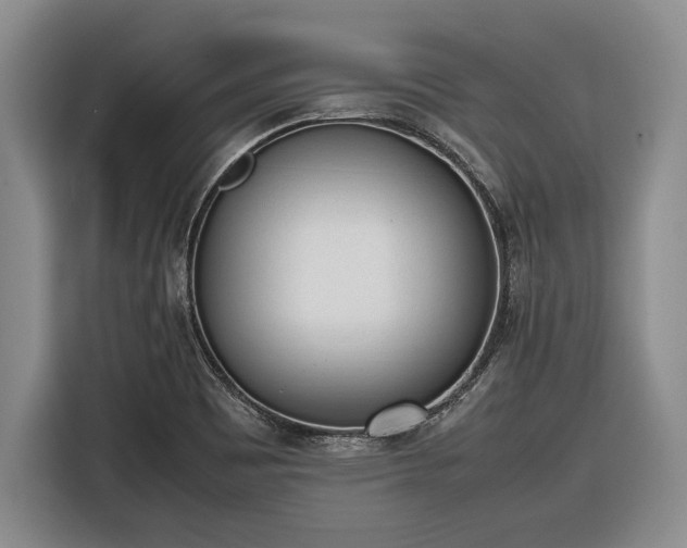 X0000116881465200912221416
