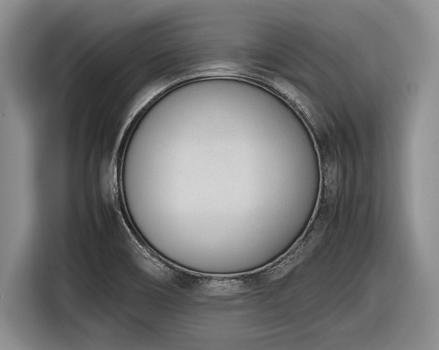 X0000116881466200912221416