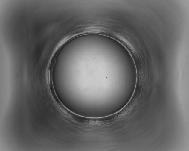 X0000116881467200912221416