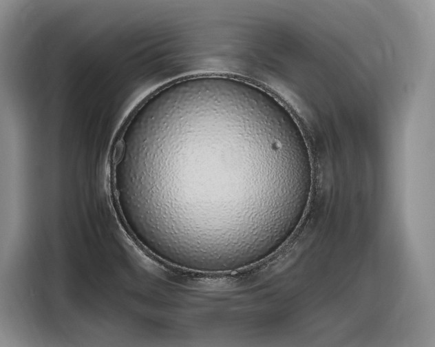 X0000116881468200912221416