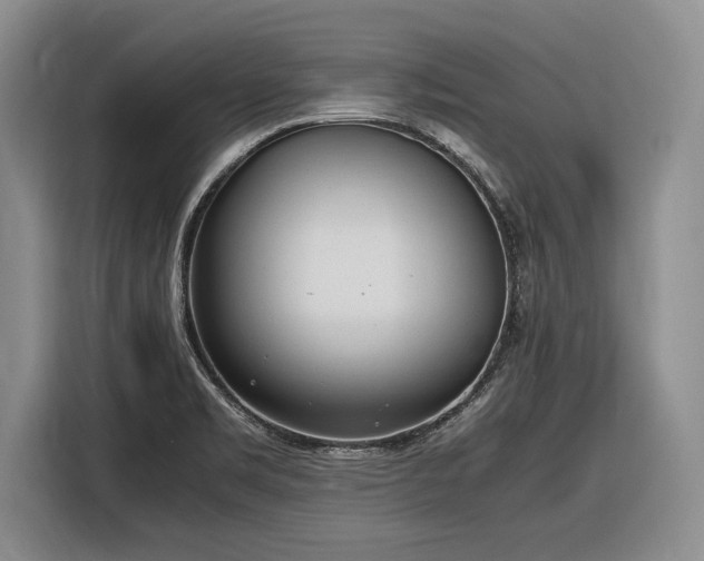 X0000116881469200912221416
