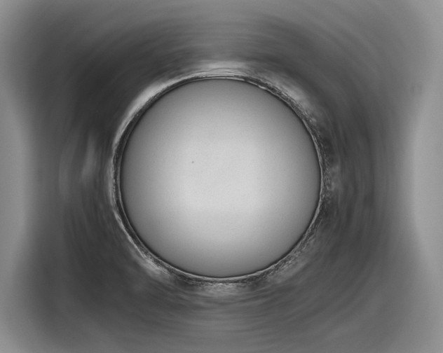 X0000116881470200912221416