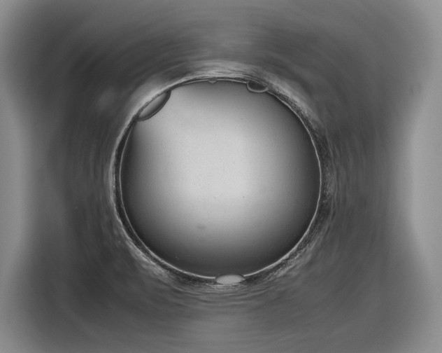 X0000116881471200912221416