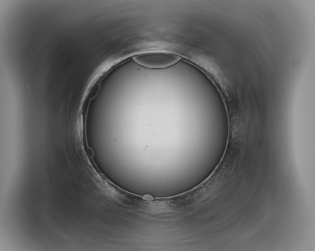 X0000116881472200912221416